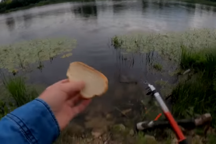 Рыбалка на хлеб