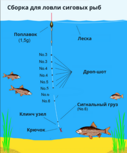 сборка для ловли сиговых рыб